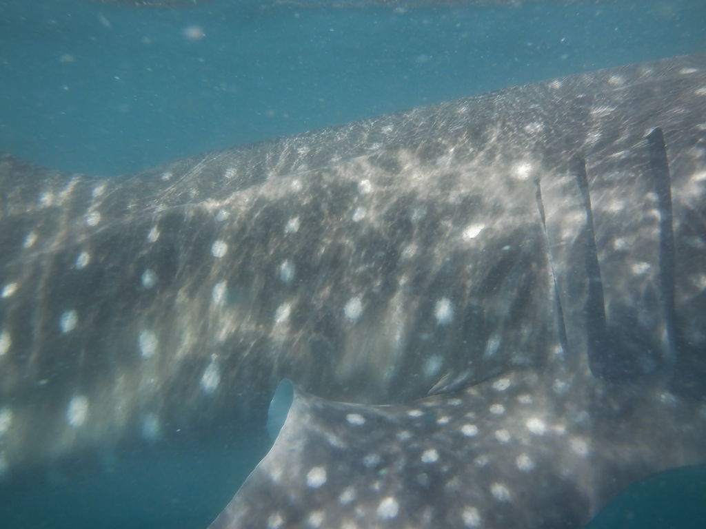 b898b334-ef30-4776-9e1c-a79d186c9a38