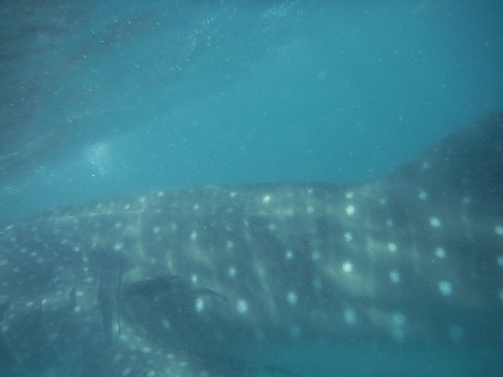 b898b334-ef30-4776-9e1c-a79d186c9a38