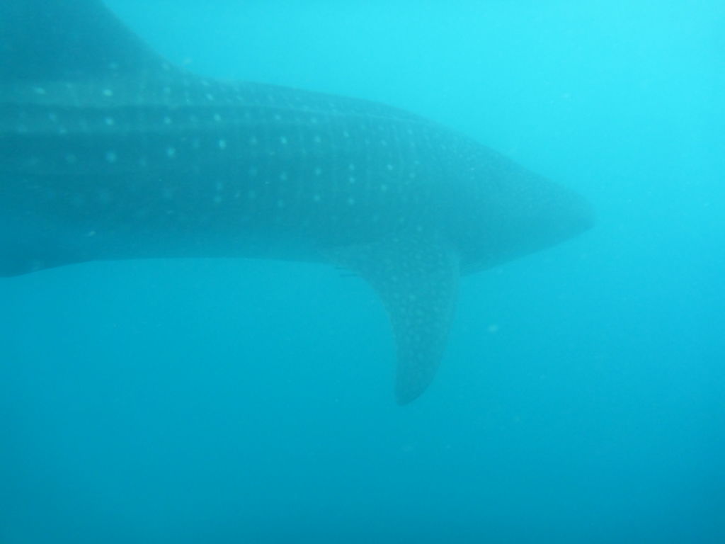 c8dfcb7b-0ecd-443c-b388-b65d7e7d734f