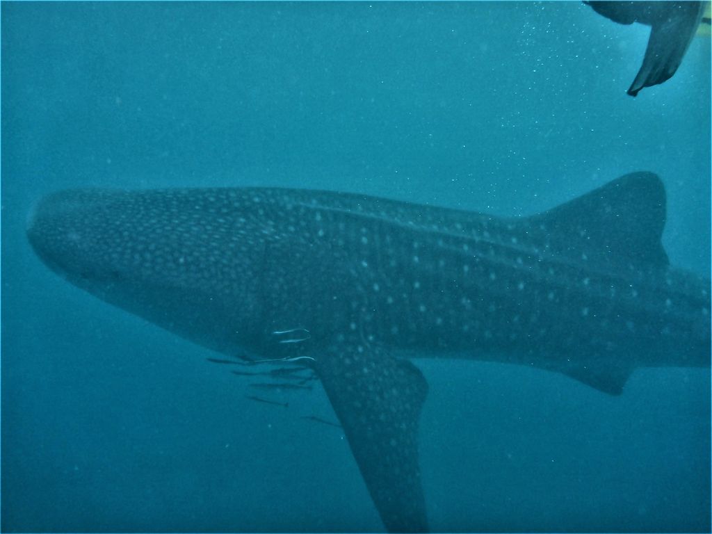 c8dfcb7b-0ecd-443c-b388-b65d7e7d734f