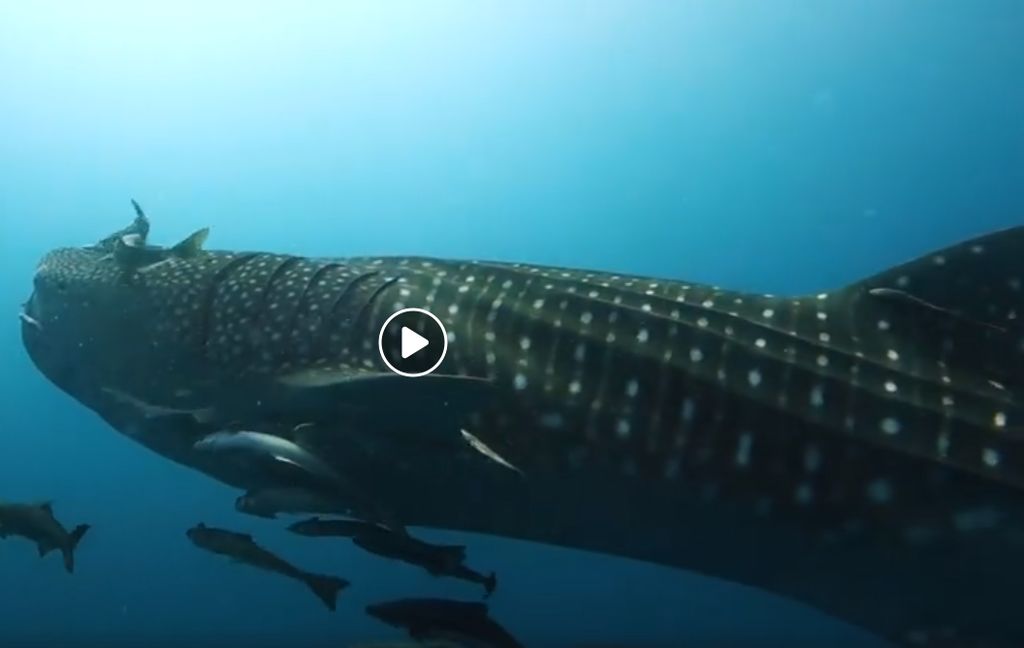 9cf4ed2e-18fc-4760-b0b9-2a897aa048b0