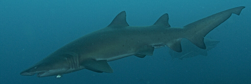 9461bbd6-b111-40ef-93c6-81b38166510d