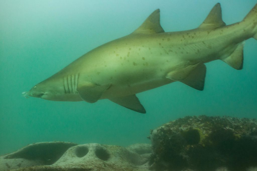 d7cbad2d-7149-47c9-a31a-9c56c9736afd