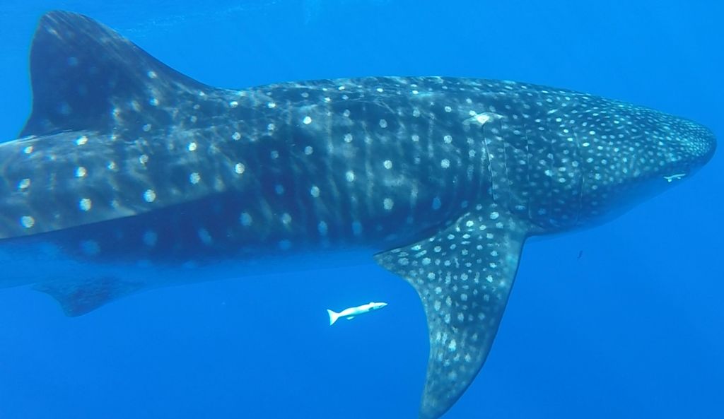 22b1d92f-d93a-41e2-8e70-0df732351943