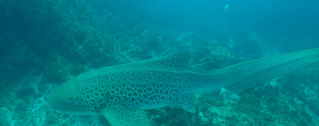 f0c4e632-4235-463a-8b6a-cdf61c20de40