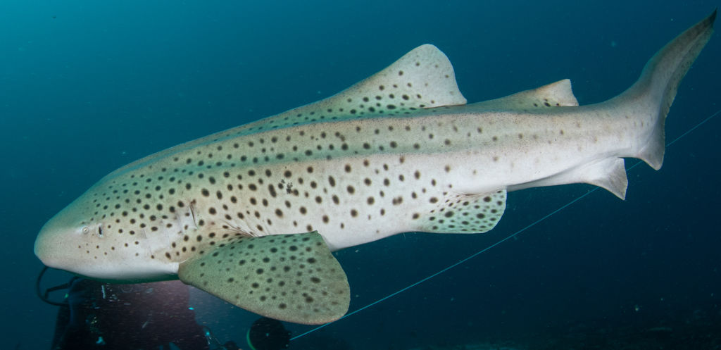 bce01013-d618-43ae-9ef9-435ea52016bb