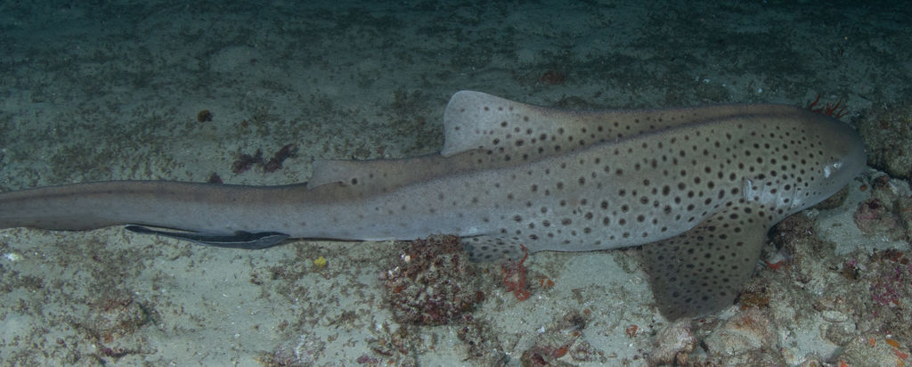 bce01013-d618-43ae-9ef9-435ea52016bb