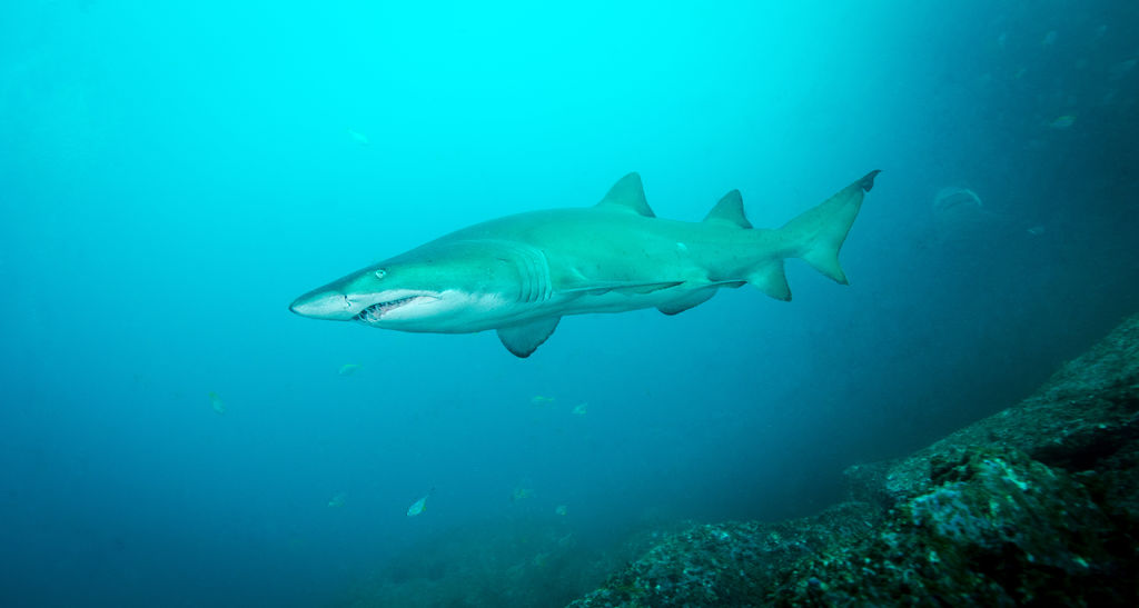 aa057ca3-b398-4dd8-9e24-eec18919212c