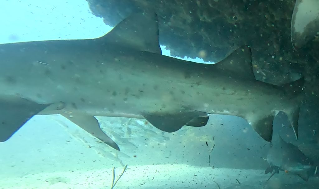 f9a132f2-6800-451c-9700-d692ad72811e