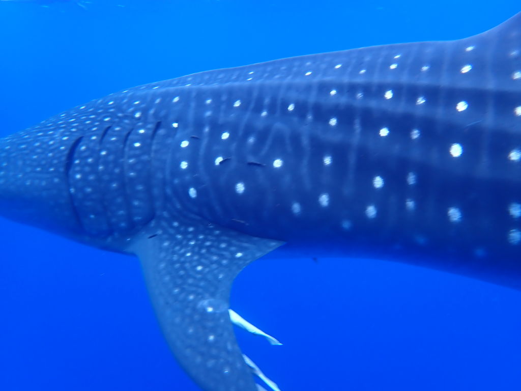 2c5f497a-eb27-4ed9-a1db-bfcc6044be9d