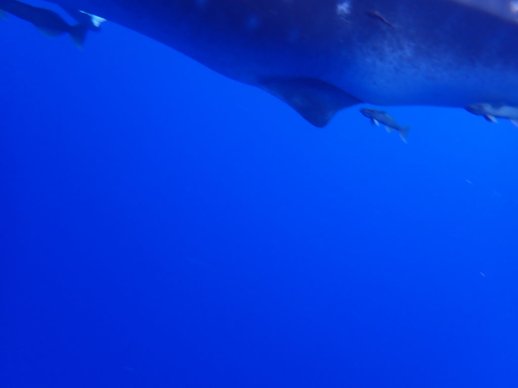 2c5f497a-eb27-4ed9-a1db-bfcc6044be9d