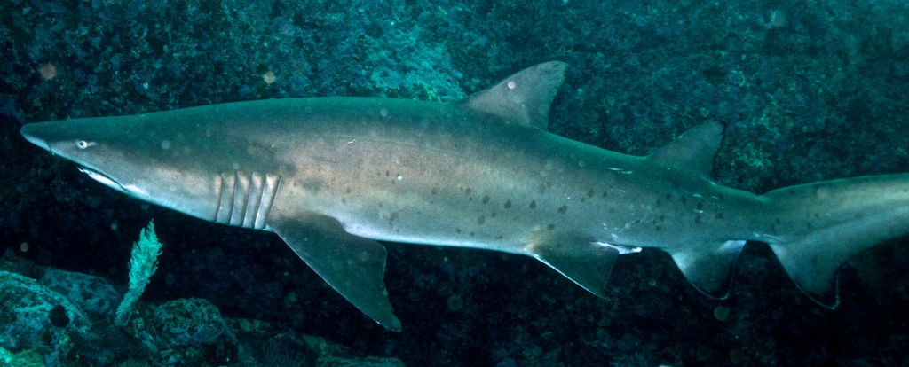 d5228917-4294-40fb-8876-531a42d4b2f5