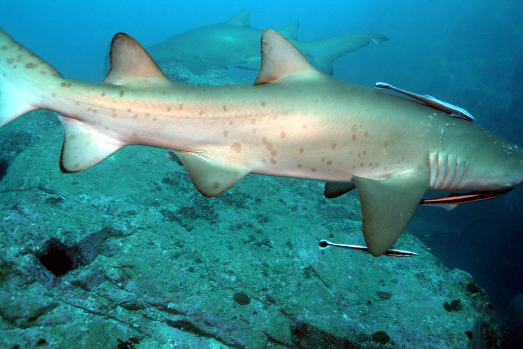 db78e344-f1fa-4e1f-a8c0-9ff21c7044a0