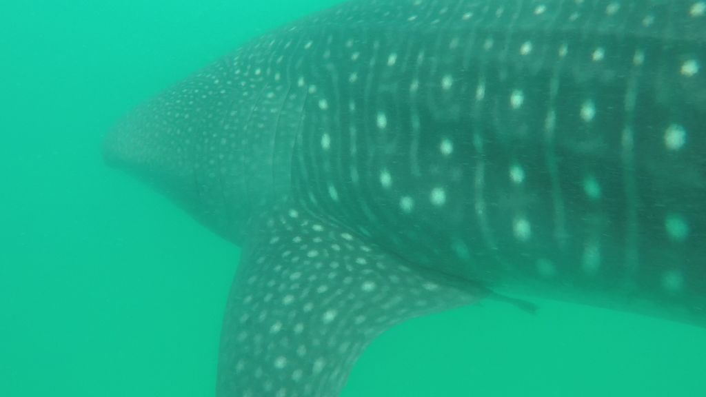 3102879b-a71b-4cd7-a2a6-fc49aa62c365