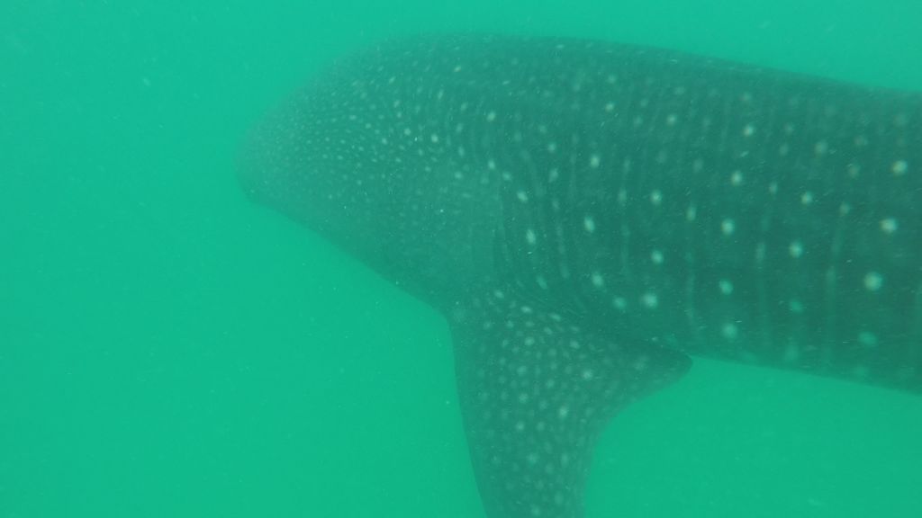 3102879b-a71b-4cd7-a2a6-fc49aa62c365