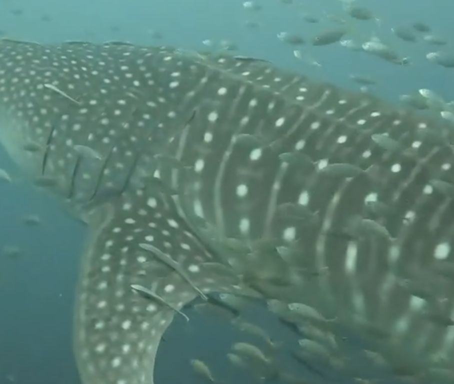 2f49a970-b306-4174-8ca2-e2c6d9d0a81d