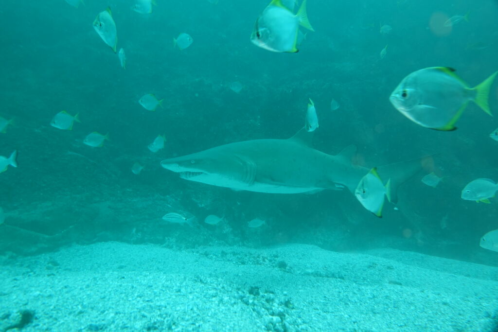 7940193c-518d-437d-962f-a7996138cbed