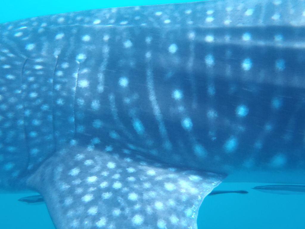 c1b9ed07-221d-4feb-9b58-6f9b7c5641d9