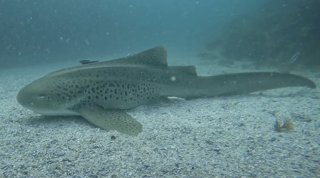 d881fc37-2356-4124-864f-77ccd9ec2098