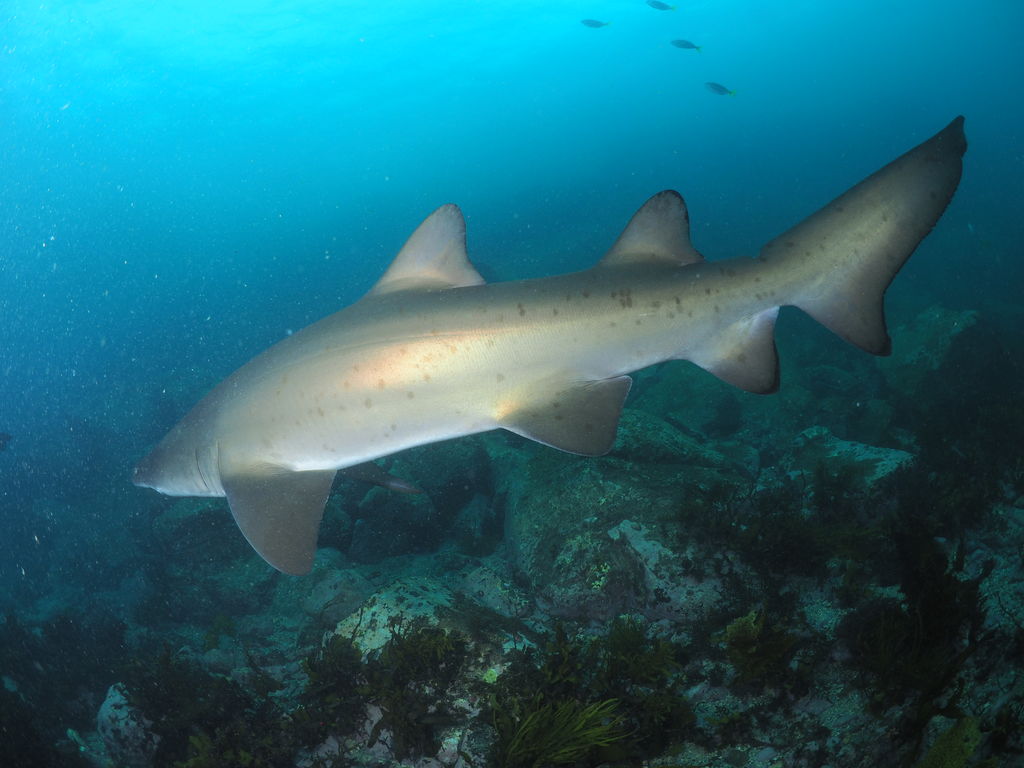 f4f5cc9a-be92-4805-838b-5491f55afc7c