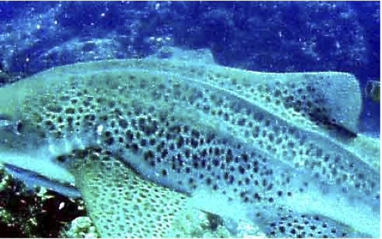 aa287e88-3462-47ef-906a-2f013c7a0cc4