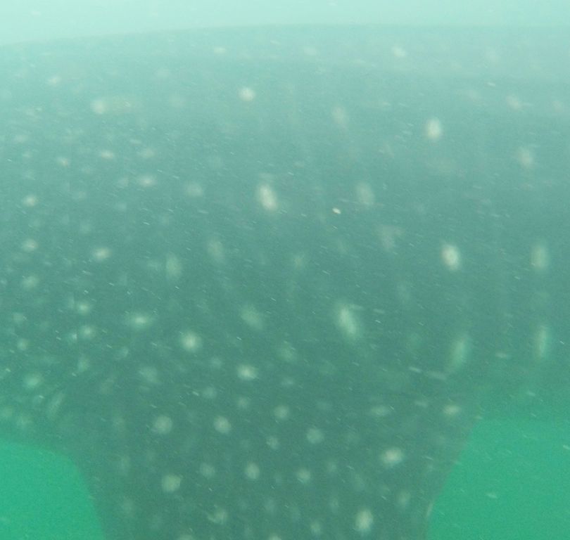 26b63a0f-8bf8-4592-b35f-c381b9f01f8a