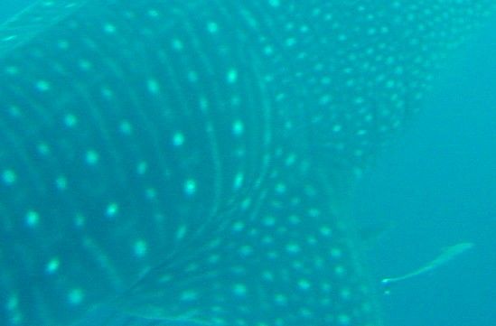 69917b19-059d-4d67-aeb3-b04c14f36f90