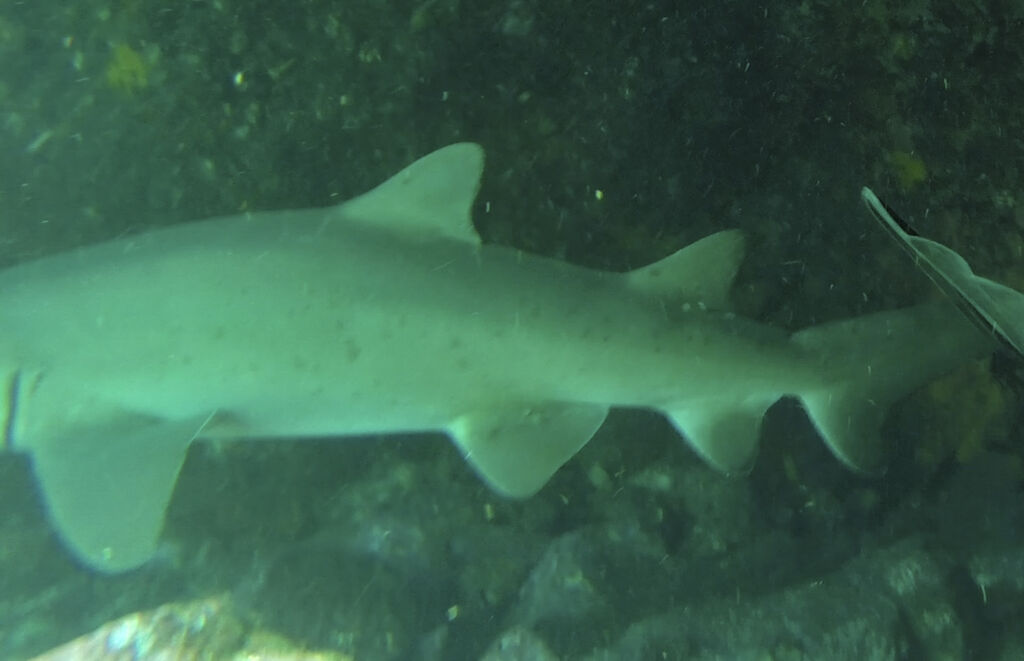 396632a8-7df4-4b5b-b1f6-37824ee043cf