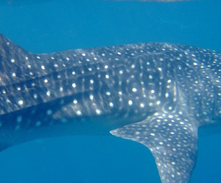 4bc4f798-8ae0-462d-9705-8d1f57e53514