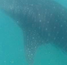 10a5bf48-7e8d-403d-a756-efdcdab49d38