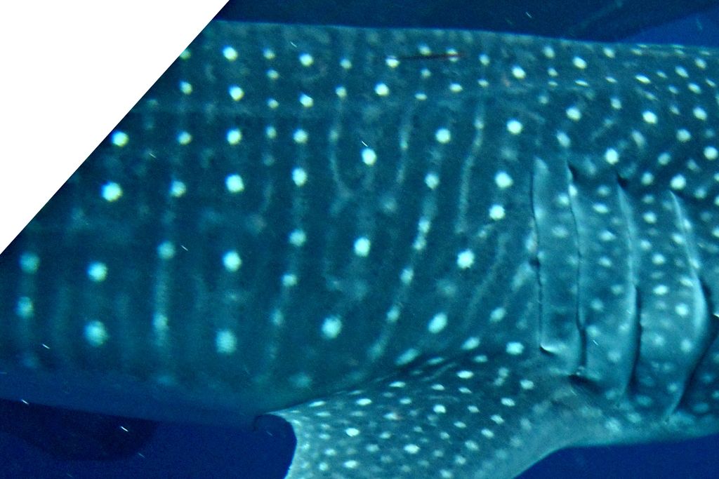 664c370c-d517-415b-815c-dd371232b478