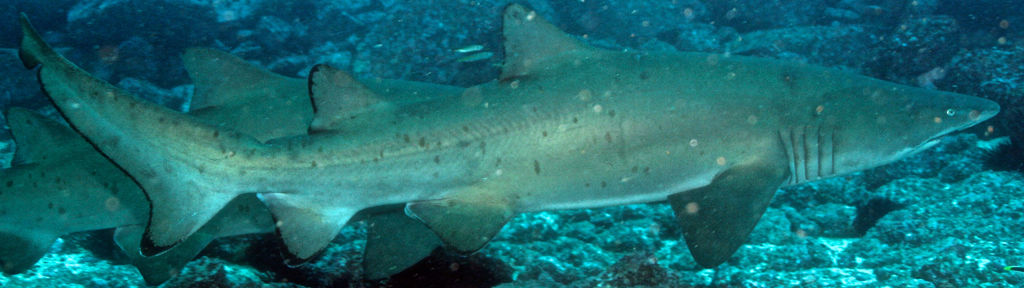 a8be17a1-ea7e-4ce3-adb5-5fb3796172f9