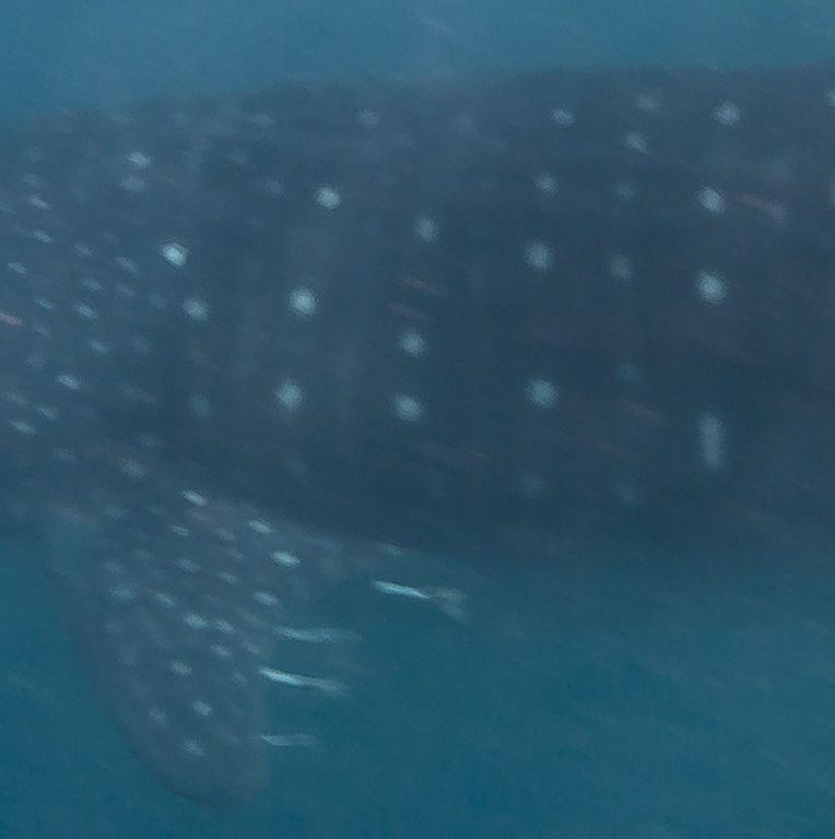 b985d9f0-333f-4a14-8d52-ed249d85839e