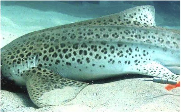 ef4ff725-3660-45c9-a22c-204d91c40023