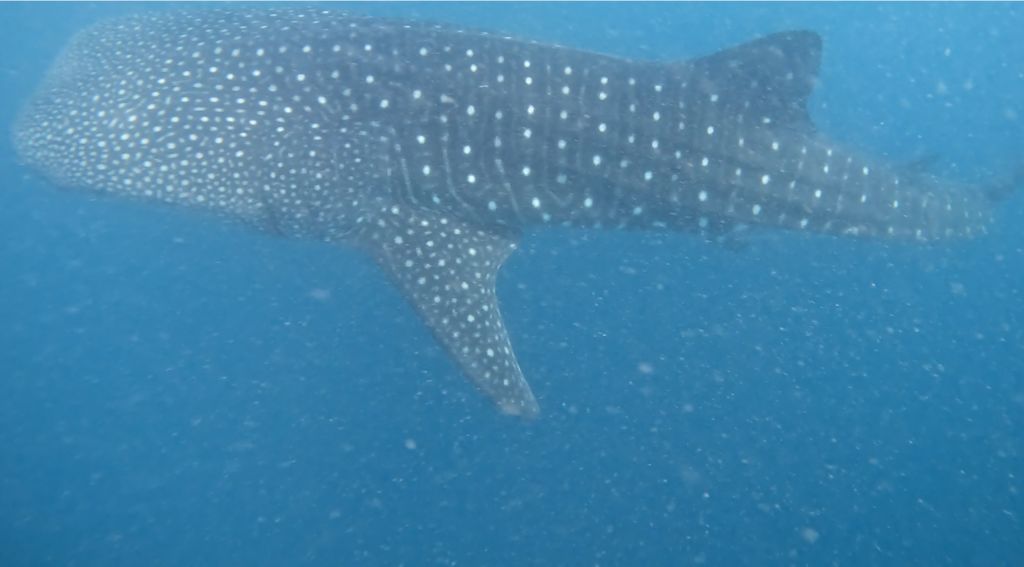 de735ff8-c209-434d-9f62-308f37e19628