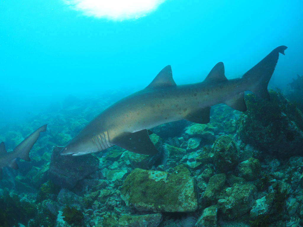 f805e1ed-14ba-42ee-bf7d-83b6d3f49131