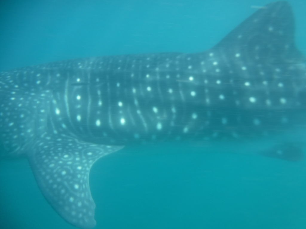 8023dbf5-9817-4f6d-845b-8809a2a06357