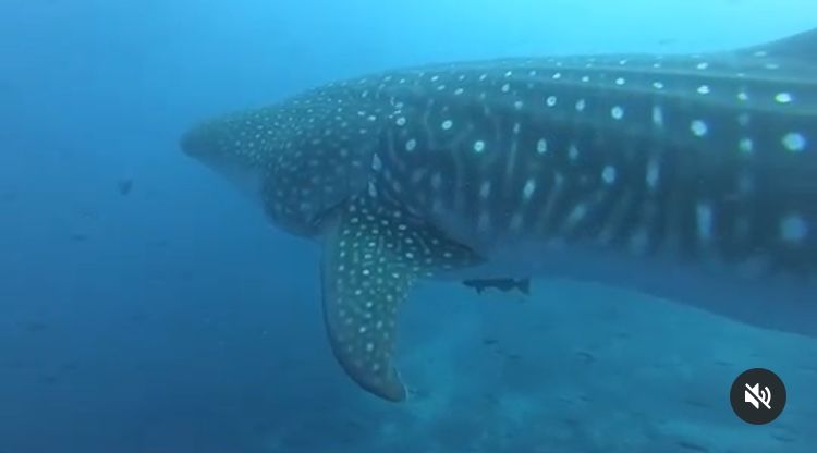 7f7edd8f-757c-43db-b19c-b4df94ccb804