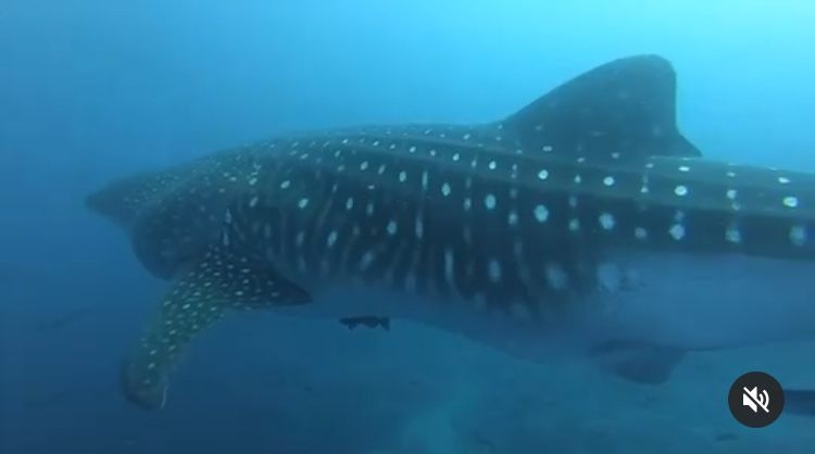 7f7edd8f-757c-43db-b19c-b4df94ccb804