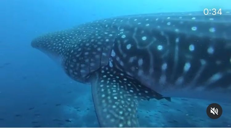 7f7edd8f-757c-43db-b19c-b4df94ccb804