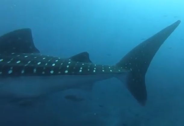 7f7edd8f-757c-43db-b19c-b4df94ccb804