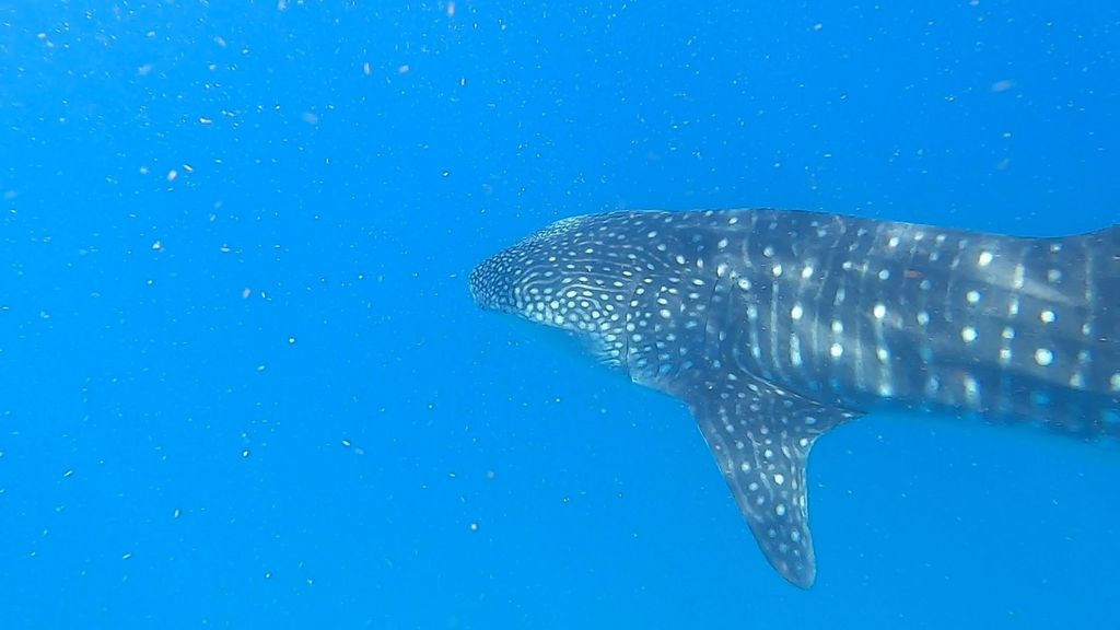 f7697421-187a-44e0-8676-2fa79d07fdd7