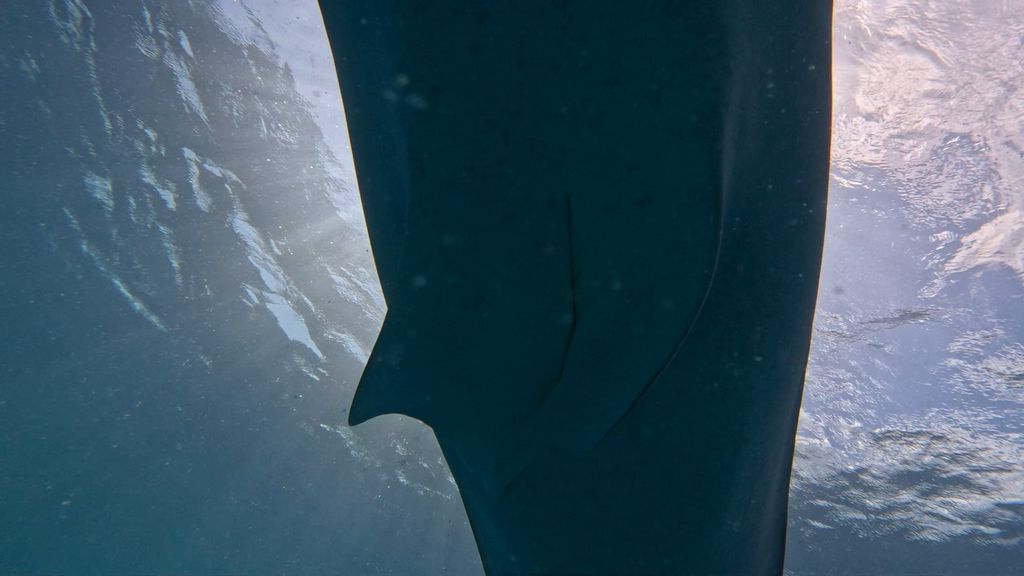 f7697421-187a-44e0-8676-2fa79d07fdd7