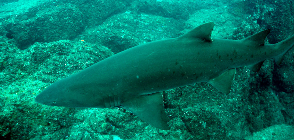 ac03fa3b-47e6-4c99-aa6a-55af636b15a1