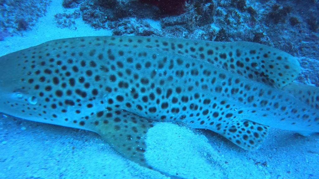 8ba107a1-8596-4d63-8f70-28f6afc50312