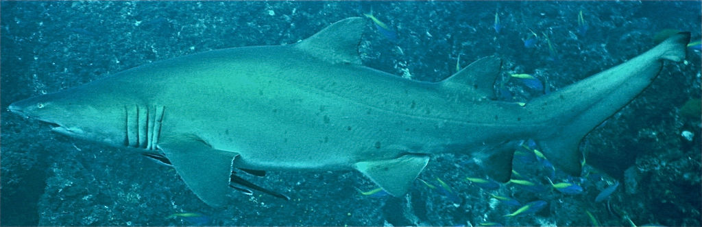 75cf141a-0839-48f9-bf17-88b296fa54f1