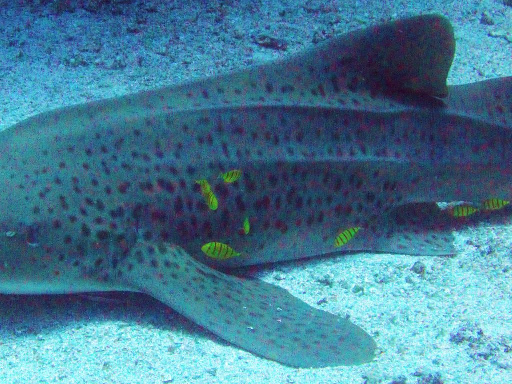 21e49d3b-e050-4fd3-917a-c1117ebf26e3