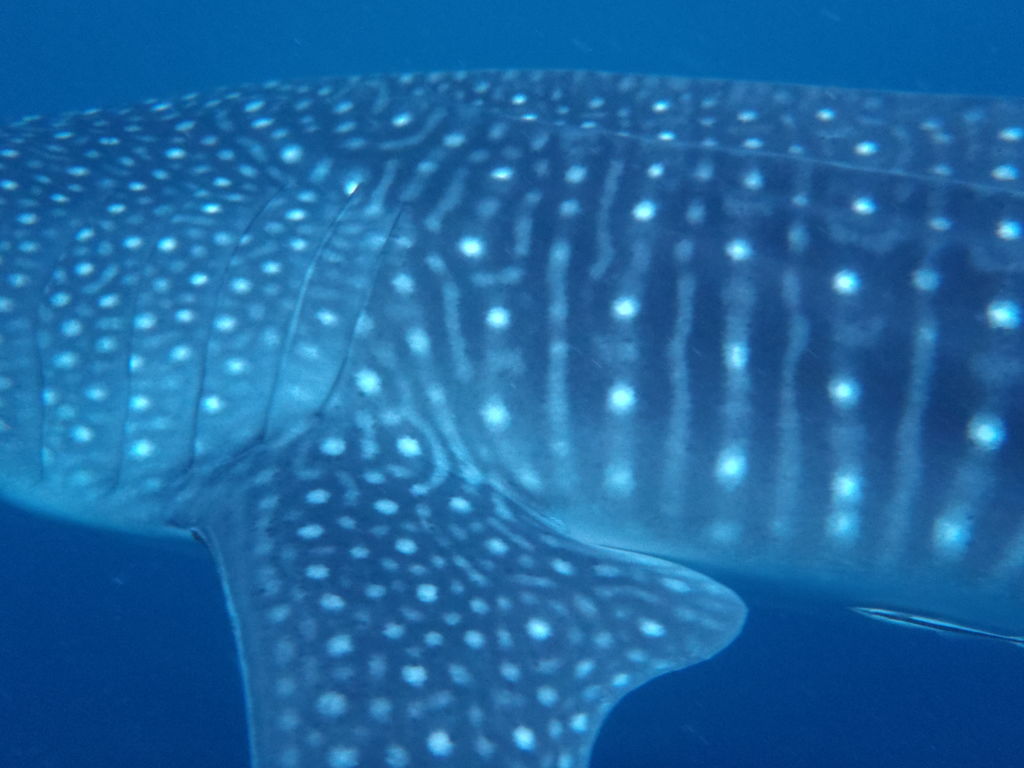 d0d5d040-b84e-4844-abe4-e55b0fecb836