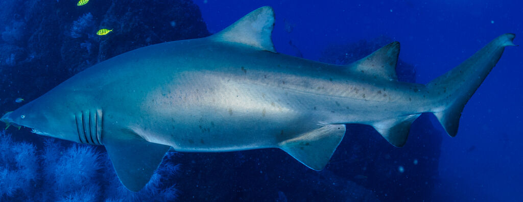 3d7041f0-ffb0-45f8-80ad-d7bef4d9cb2c