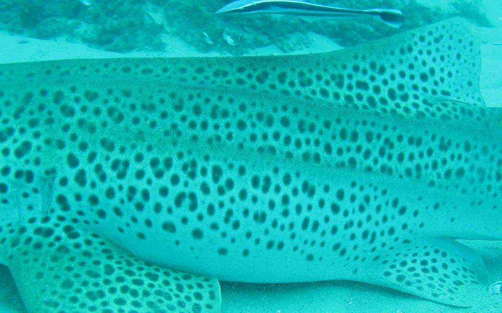 701da3a0-3bbc-4c2f-90fd-4d7649e72927